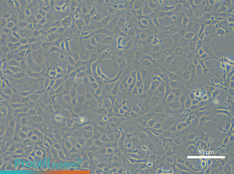 EPC - 5