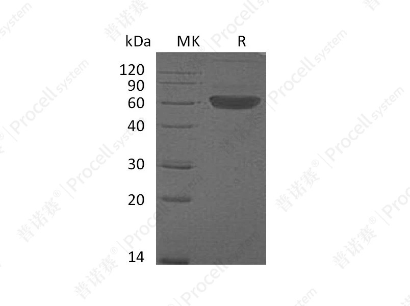 https://789.bio/ec/VeLVLC