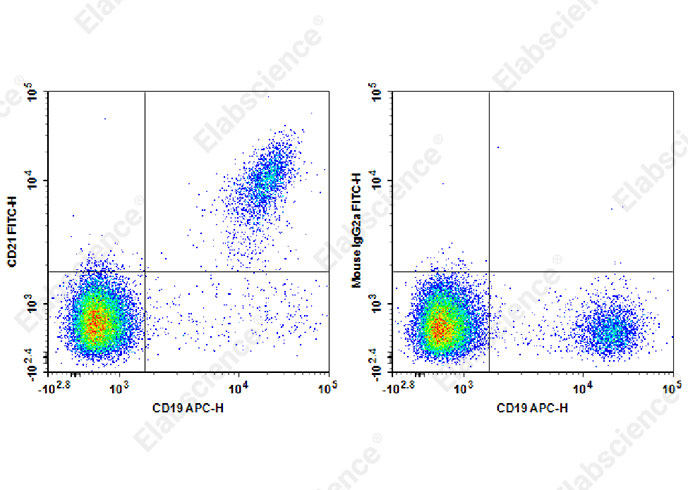 FITC Anti-Human CD21 Antibody[HB5]-1