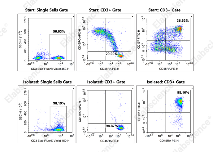 EasySort™ Human Naïve Pan T Cell Isolation Kit-searchlist-1