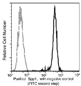 Recombinant Osteopontin/SPP1/ETA-1 Monoclonal Antibody-searchlist-1