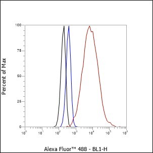 Recombinant Histone H1 (CT) Monoclonal Antibody - small - 5
