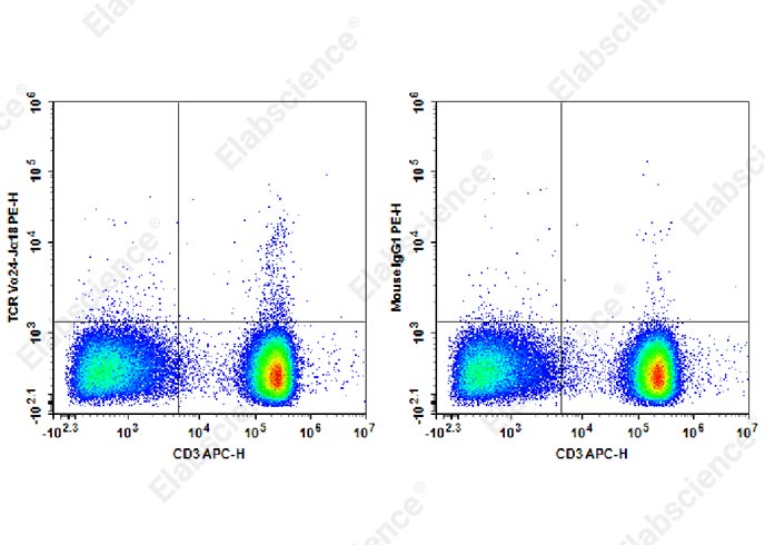 PE Anti-Human TCR Vα24-Jα18 Antibody[6B11]-1