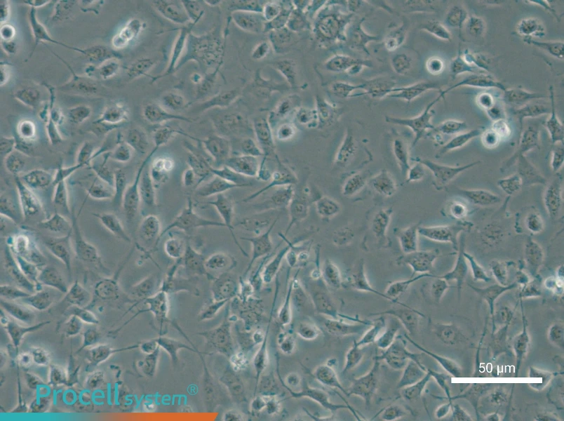 HBE135-E6E7 - 6