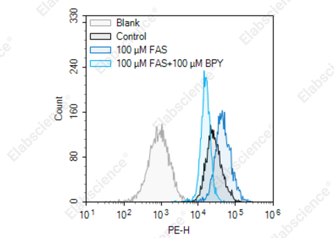 Cell Ferrous (Fe²⁺) Fluorometric Assay Kit - 1