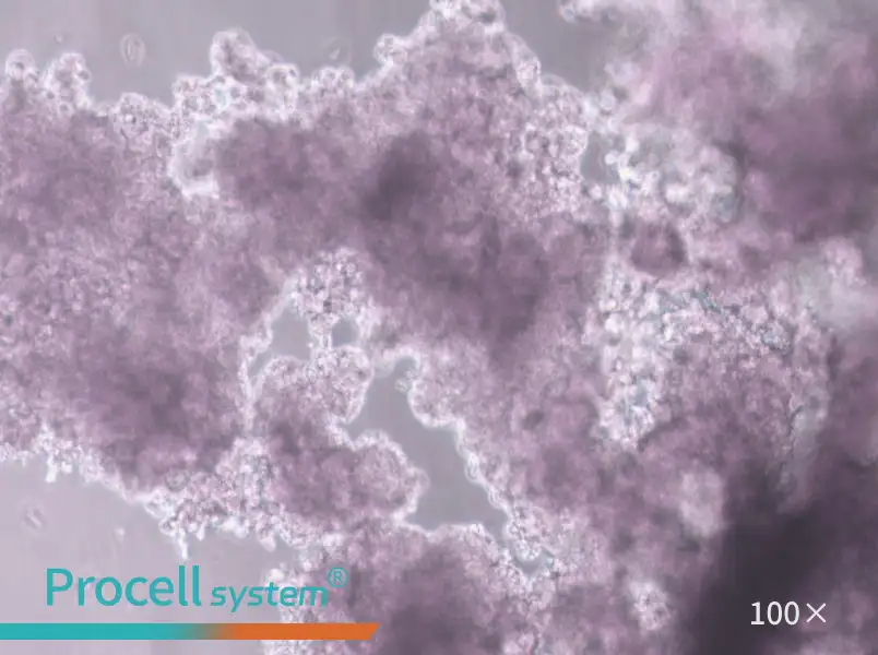 NCI-H660 Cell Complete MediumNCI-H660 Cell Complete Medium - 3