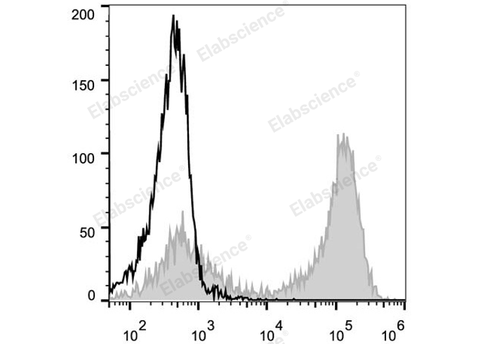 PE Anti-Mouse CD90.2/Thy1.2 Antibody[30H12]-1