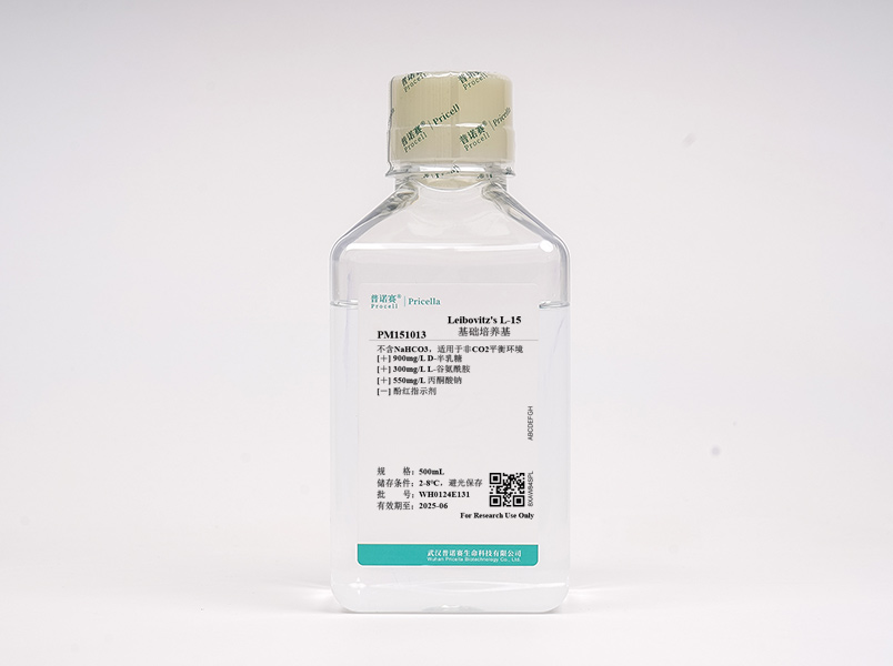 https://789.bio/ec/Vuy9dP