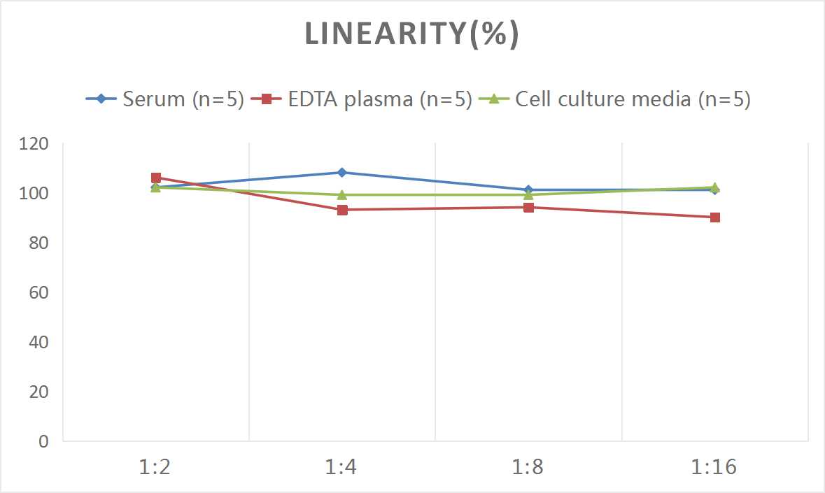 Rat CRP(C-Reactive Protein) ELISA Kit-1