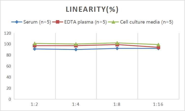Mini Sample Human RANTES (Regulated On Activation, Normal T-Cell Expressed and Secreted) ELISA Kit - small - 2