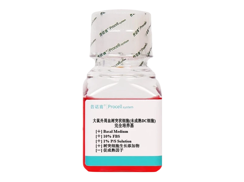 https://789.bio/ec/Vy8alV5W