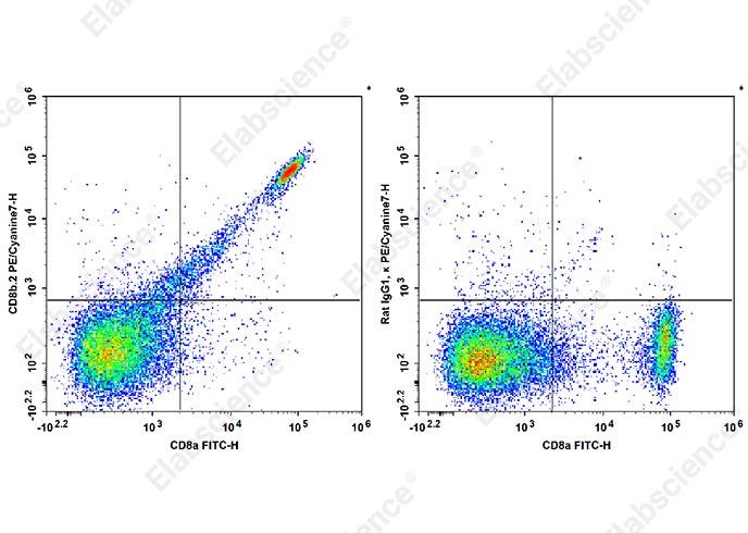 PE/Cyanine7 Anti-Mouse CD8b.2 Antibody[53-5.8]-1