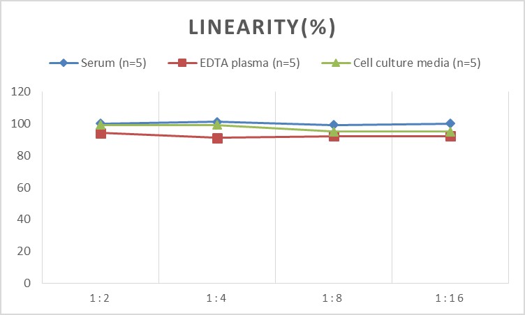 Human IL-6(Interleukin 6)  ELISA Kit-产品推荐-3