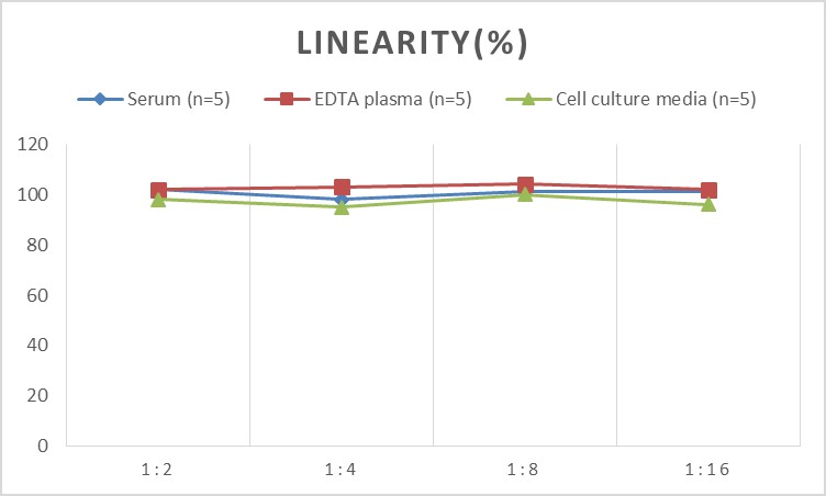 Mini Sample Mouse ANG2 ( Angiopoietin 2 ) ELISA Kit-产品推荐-1