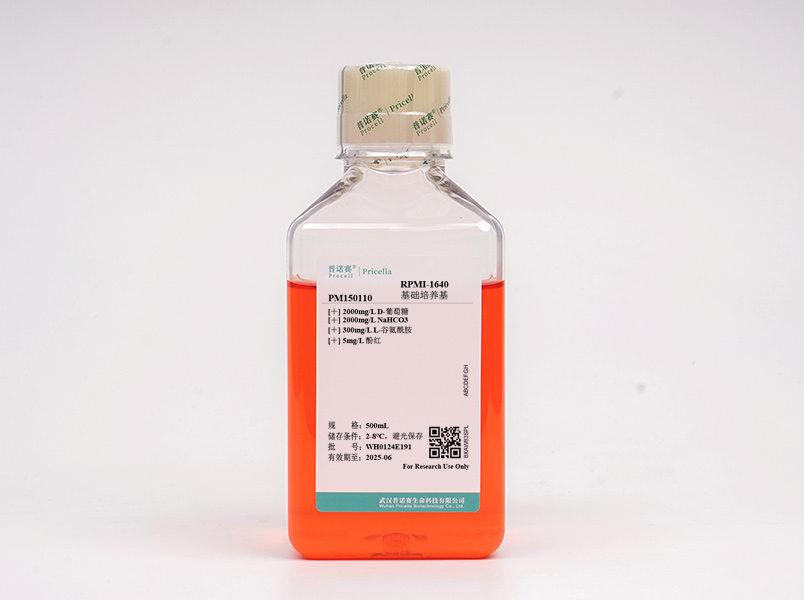 https://789.bio/ec/W94ViS