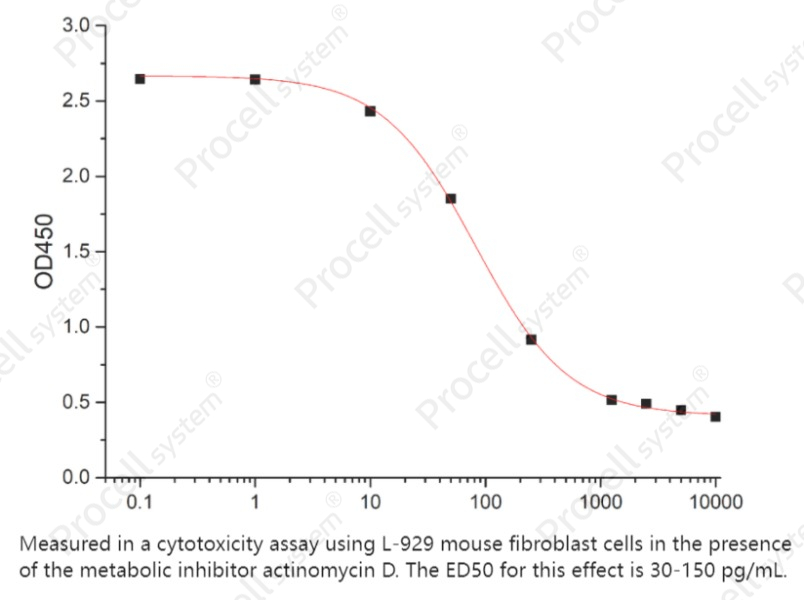 TNF-α/TNFA/TNFSF2 (N-6His), Human, RecombinantTNF-α/TNFA/TNFSF2 (N-6His), Human, Recombinant - 2