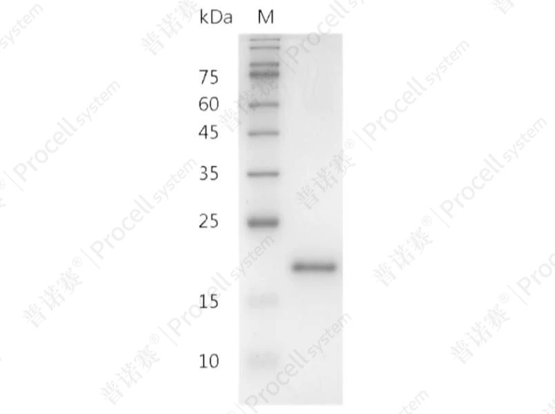 https://789.bio/ec/WDRxi1
