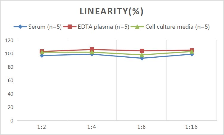 Mouse ANG (Angiogenin) ELISA Kit - small - 2