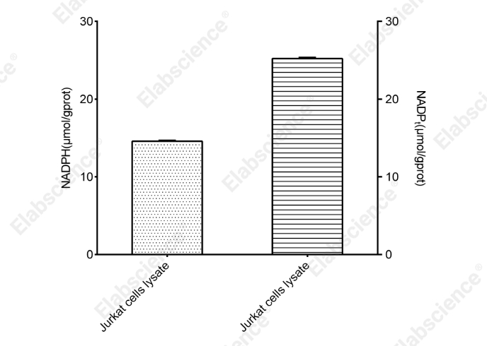 NADP⁺/NADPH Colorimetric Assay Kit (WST-8) - 3