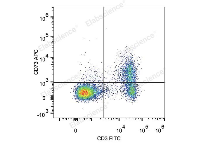 C57BL/6 murine splenocytes are stained with APC Anti-Mouse CD73 Antibody and FITC Anti-Mouse CD3 Antibody .