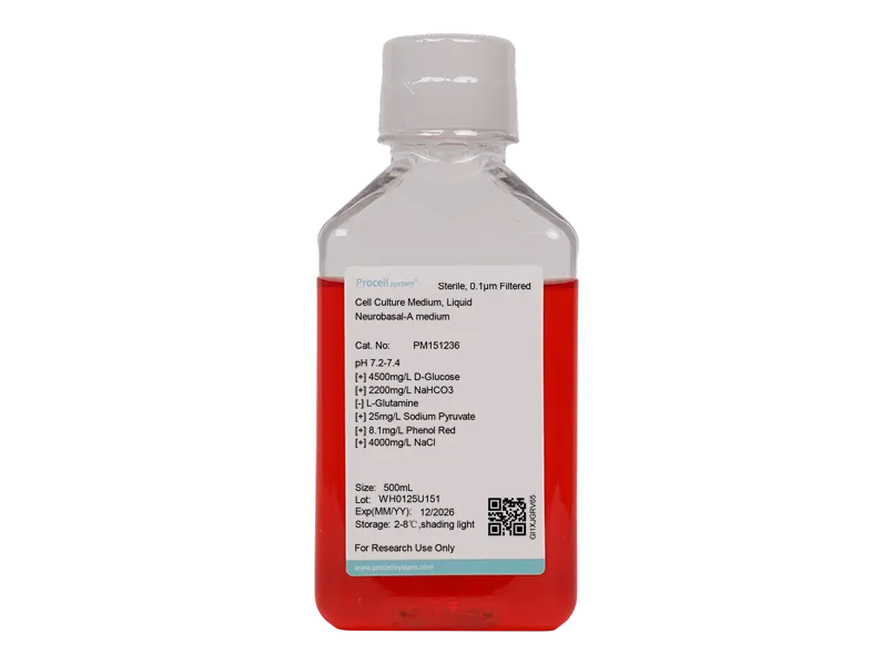 Neurobasal-A medium