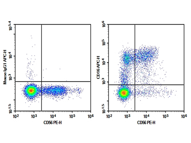 AF/LE Purified Anti-Human CD16 Antibody[3G8]-1