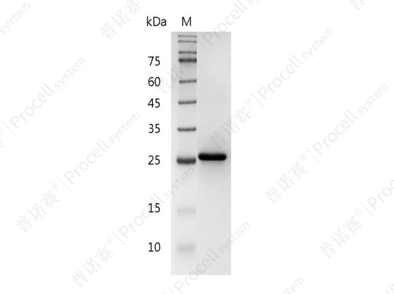 https://789.bio/ec/WHp1h5