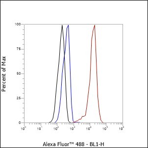 Recombinant SOX1 Monoclonal Antibody - small - 4