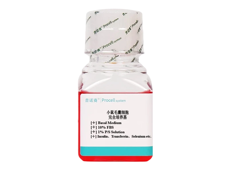 https://789.bio/ec/WMNTmReT