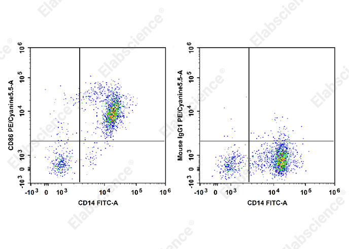 PE/Cyanine5.5 Anti-Human CD86 Antibody[BU63]-1