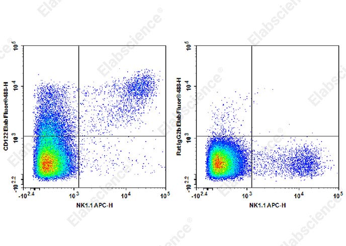 Elab Fluor® 488 Anti-Mouse CD122 Antibody[TM-Beta 1]-1