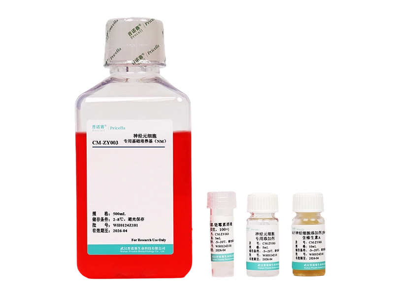 https://789.bio/ec/WPxWS8