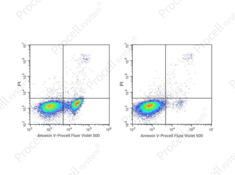 Annexin V-Procell Fluor Violet 500/PI Apoptosis Kit