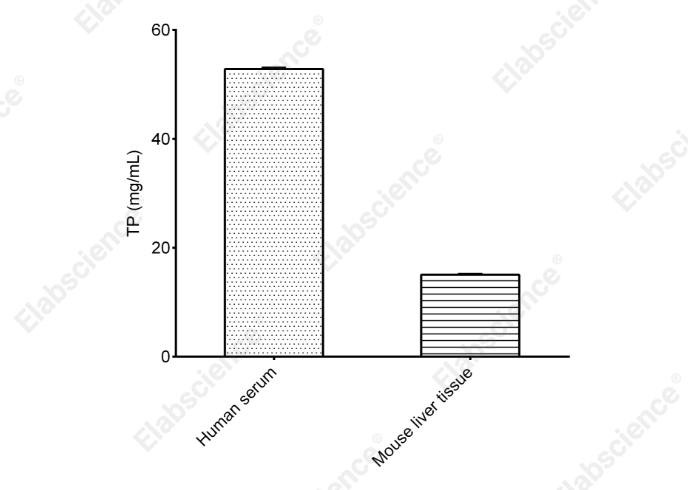 Bradford Protein Colorimetric Assay Kit - 2