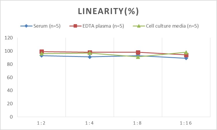 Human Coxsackievirus group B (CVB) IgG ELISA Kit-产品推荐-3