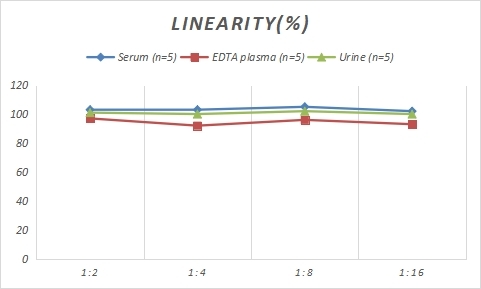 Rat IL-1β(Interleukin 1 Beta) ELISA Kit-产品推荐-2