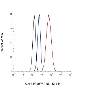 Recombinant CENP-A Monoclonal Antibody - small - 7