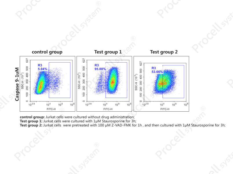 Caspase 9 Activity Detection Substrate for Flow Cytometry