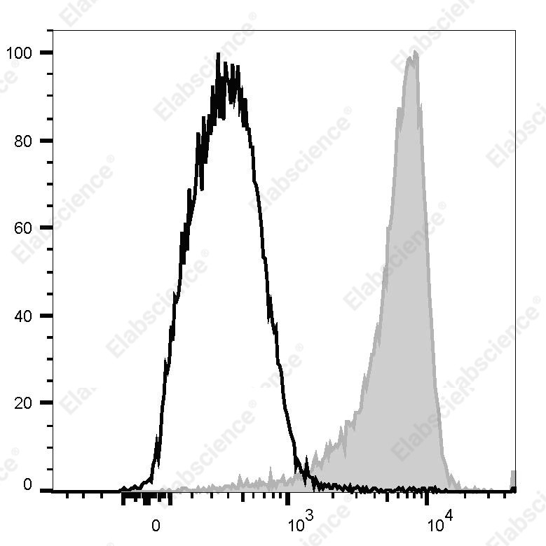 PE Anti-Mouse/Rat CD61 Antibody[2C9.G2] - 1