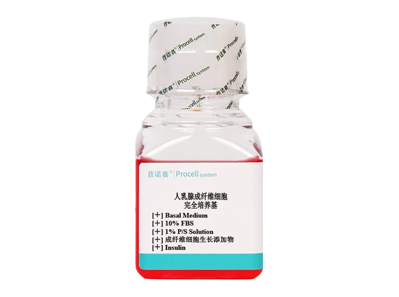 https://789.bio/ec/Wdfw3vX5