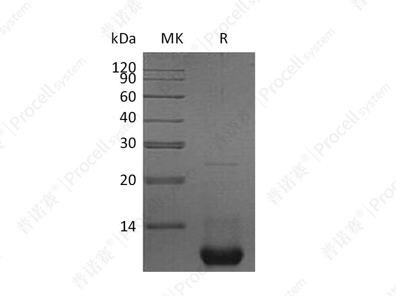 https://789.bio/ec/Weqeu9