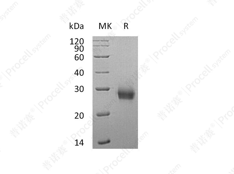 https://789.bio/ec/Wi9KG4
