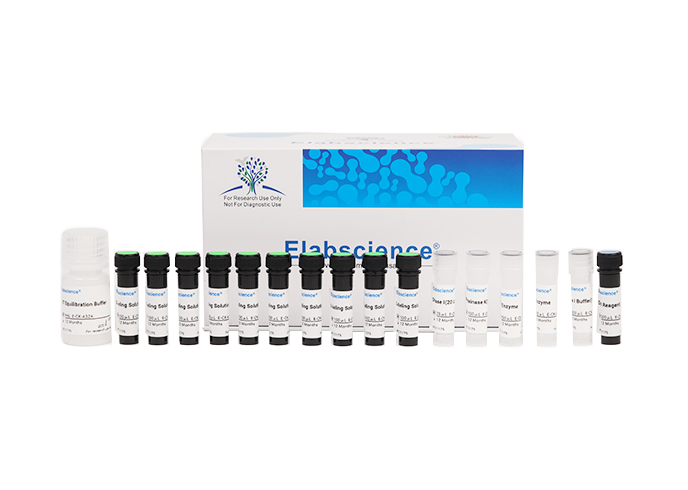 One-step TUNEL In Situ Apoptosis Kit (Red, Elab Fluor® 555)