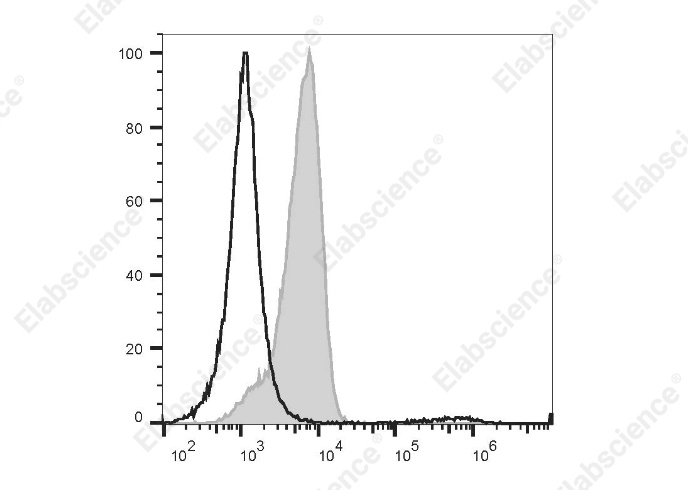 FITC Anti-Mouse CD16.2 Antibody[9E9] - 1