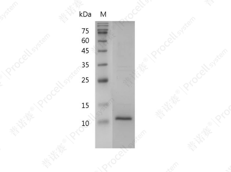https://789.bio/ec/WmeuW9
