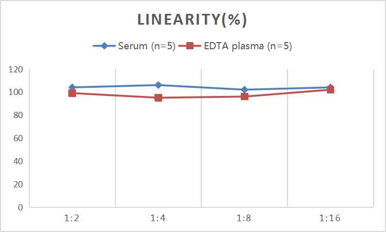 QuicKey Pro Mouse TRACP-5b (Tartrate Resistant Acid Phosphatase 5) ELISA Kit - 2