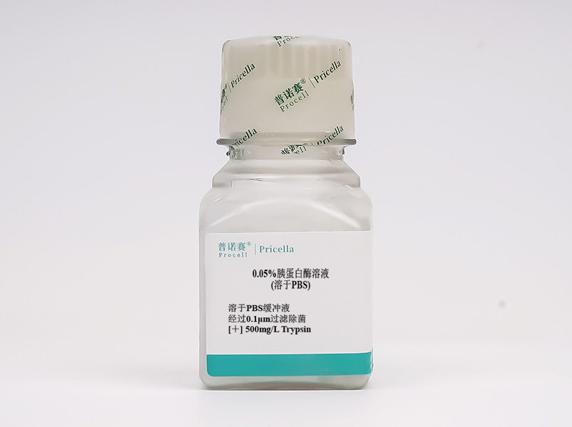 https://789.bio/ec/WuLhiL
