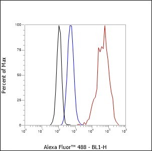 Recombinant Keratin 15 Monoclonal Antibody-searchlist-1