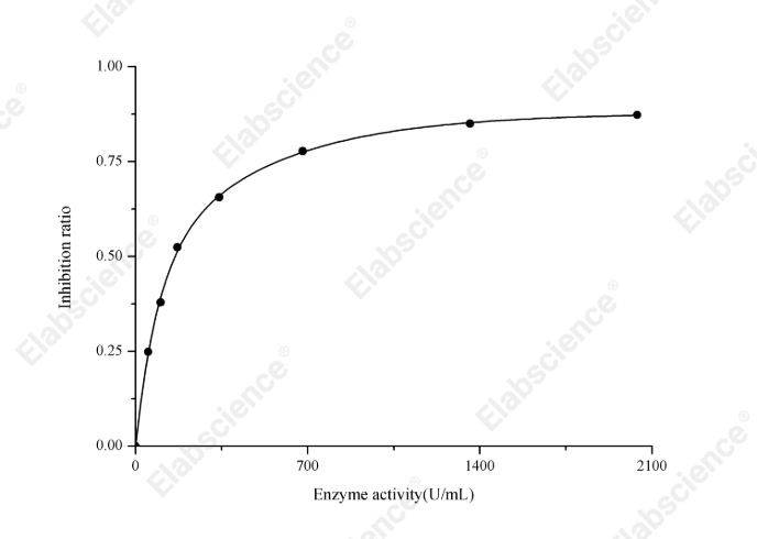 Total Superoxide Dismutase (T-SOD) Activity Assay Kit (Hydroxylamine Method) - 1
