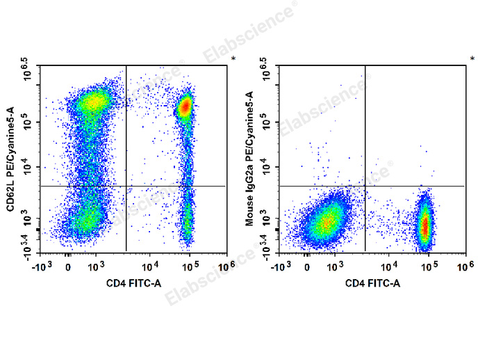 Human peripheral blood lymphocytes are stained with FITC Anti-Human CD4 Antibody and PE/Cyanine5 Anti-Human CD62L Antibody[HI62L] (Left). Lymphocytes are stained with FITC Anti-Human CD4 Antibody and PE/Cyanine5 Mouse IgG2a, κ Isotype Control (Right).